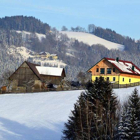 Almferienhaus Russmann Frantschach Экстерьер фото