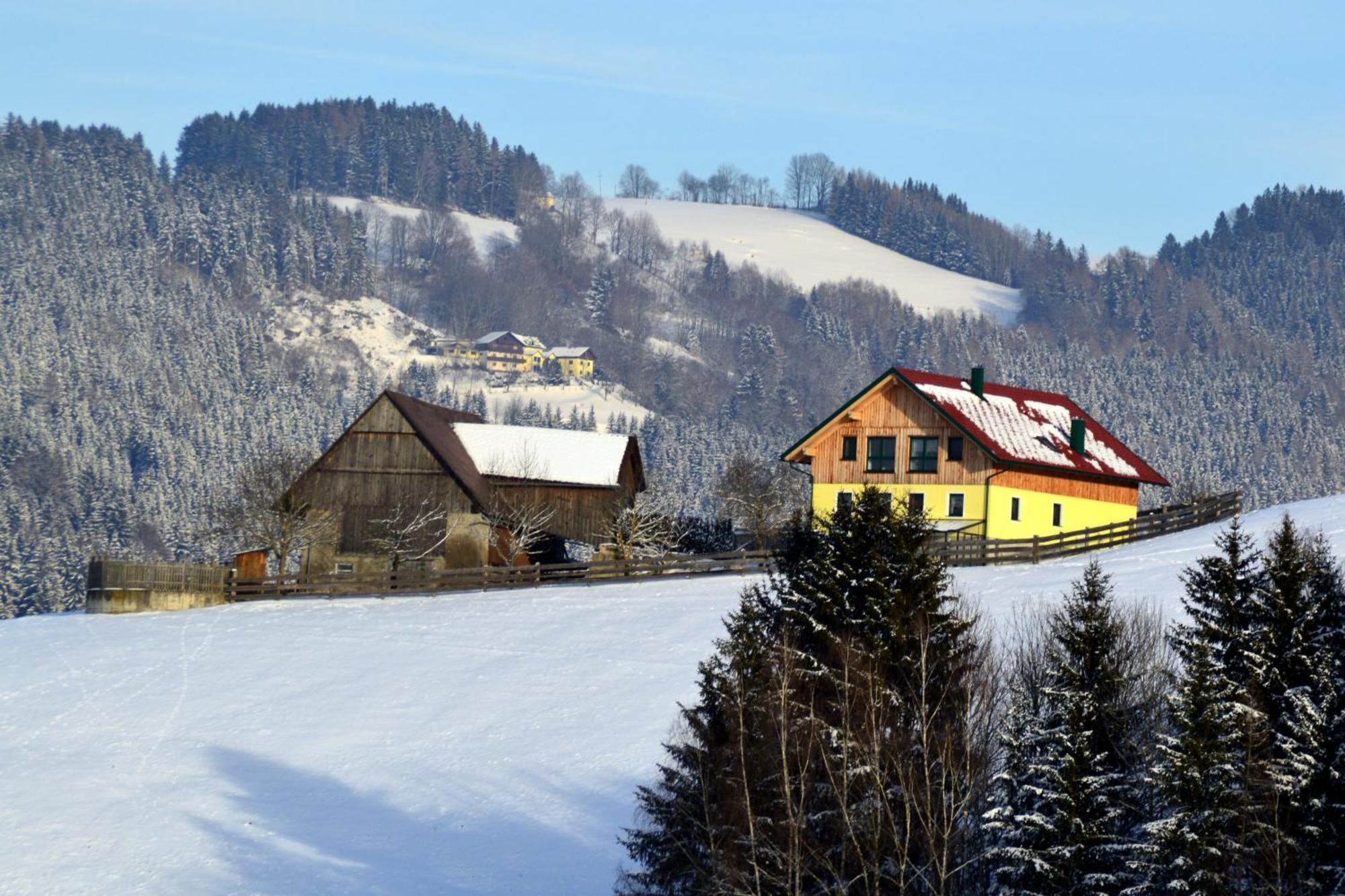 Almferienhaus Russmann Frantschach Экстерьер фото