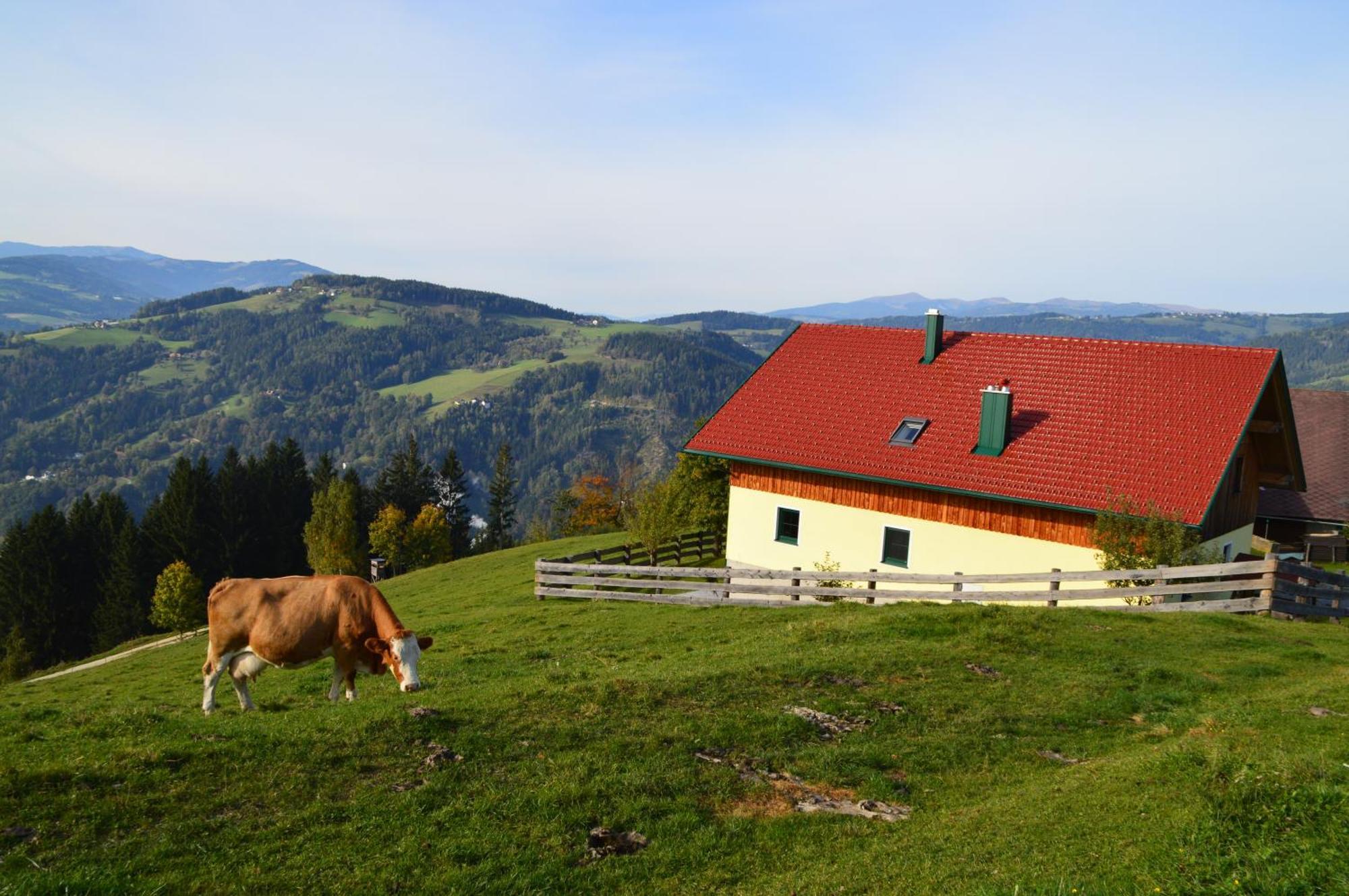 Almferienhaus Russmann Frantschach Экстерьер фото
